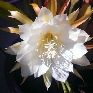 Meet your Posher, Teresa